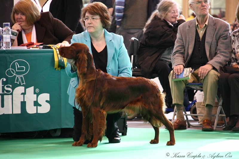 Crufts2011 104.jpg